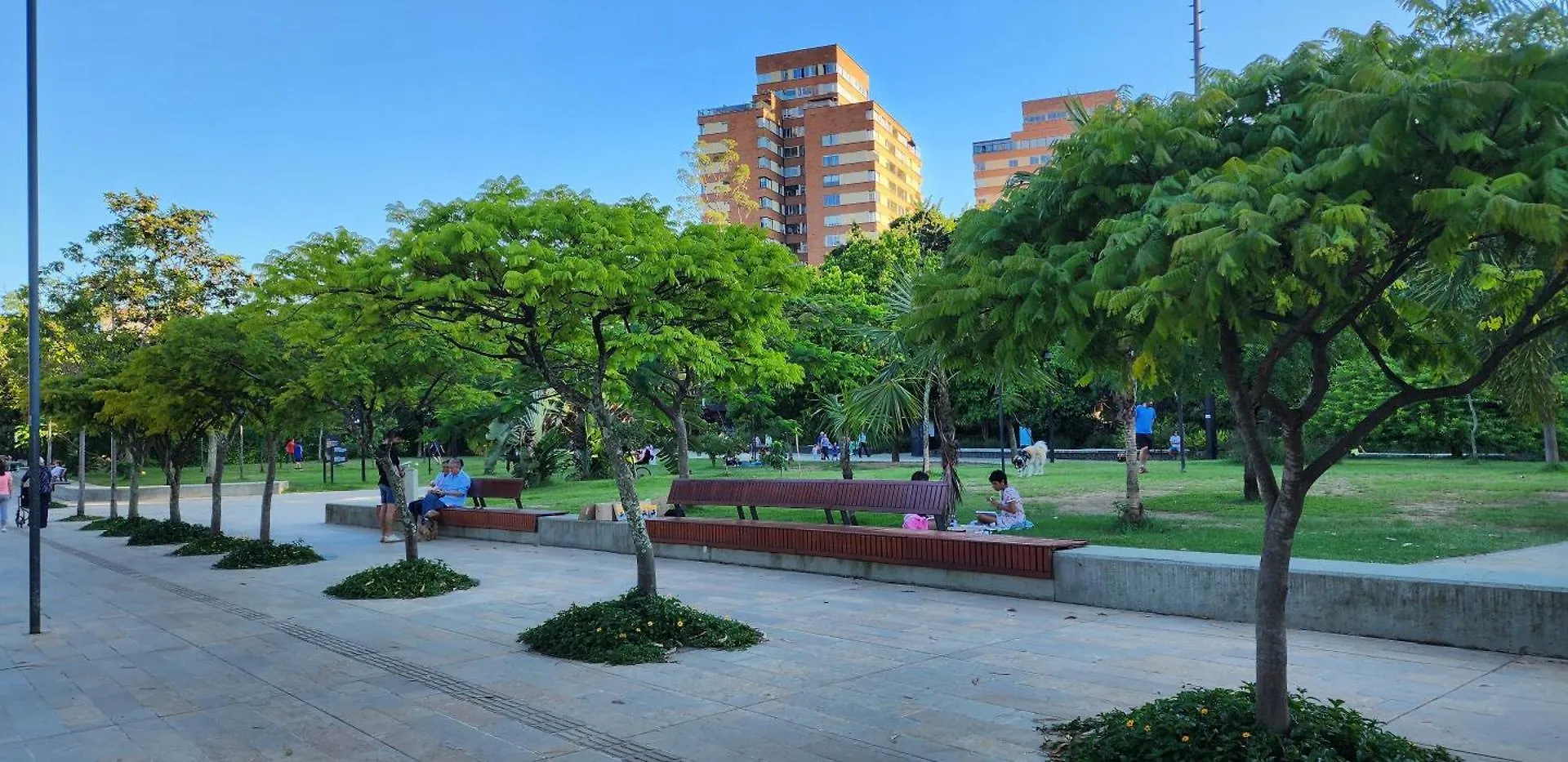 Casa De Las Palmas 3 Medellin Colombia